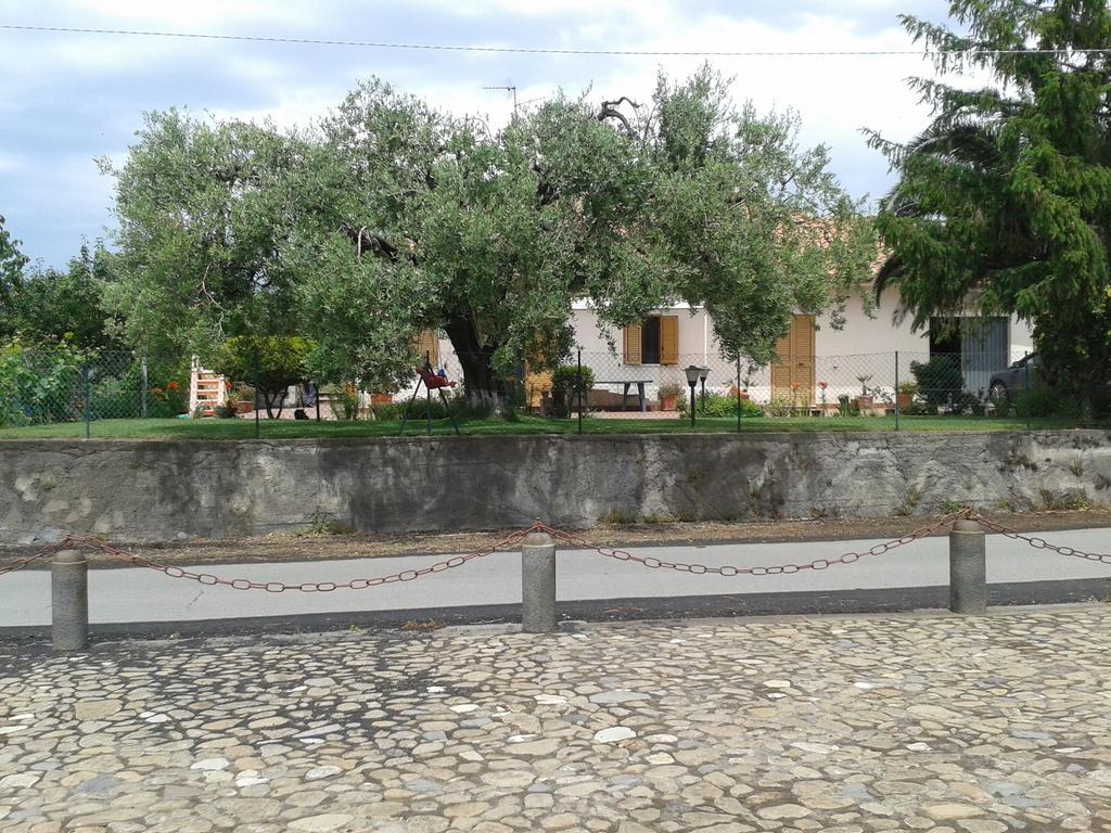 Villa Etna Piedimonte Etneo Eksteriør billede